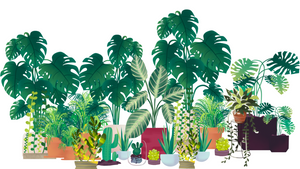 Essential Ways To Keep Your Plants Healthy