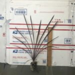 Cordyline Red Sensation