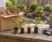 Buying starter plants online: rooted starter shrubs unpacked from a shipping box on a porch step